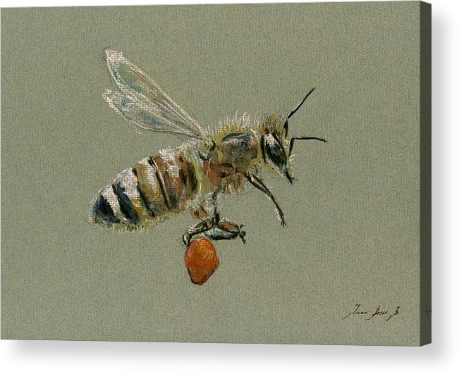 651x531 Honey Bee Watercolor Painting Acrylic Print By Juan Bosco