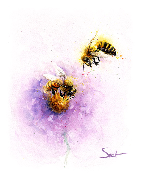 550x680 Honeybee Watercolor Print Watercolor Animal Paintings
