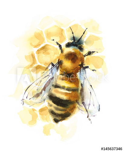 410x500 Watercolor Honey Bee On Honeycomb Hand Painted Illustration
