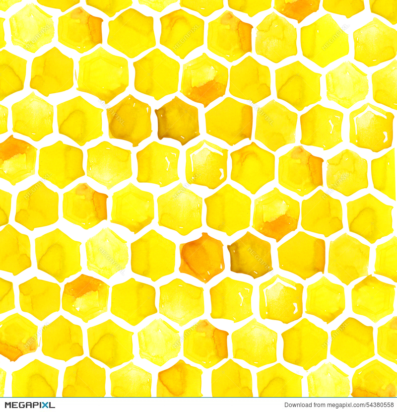 800x830 Honey, Honeycomb, Watercolor Illustration 54380558