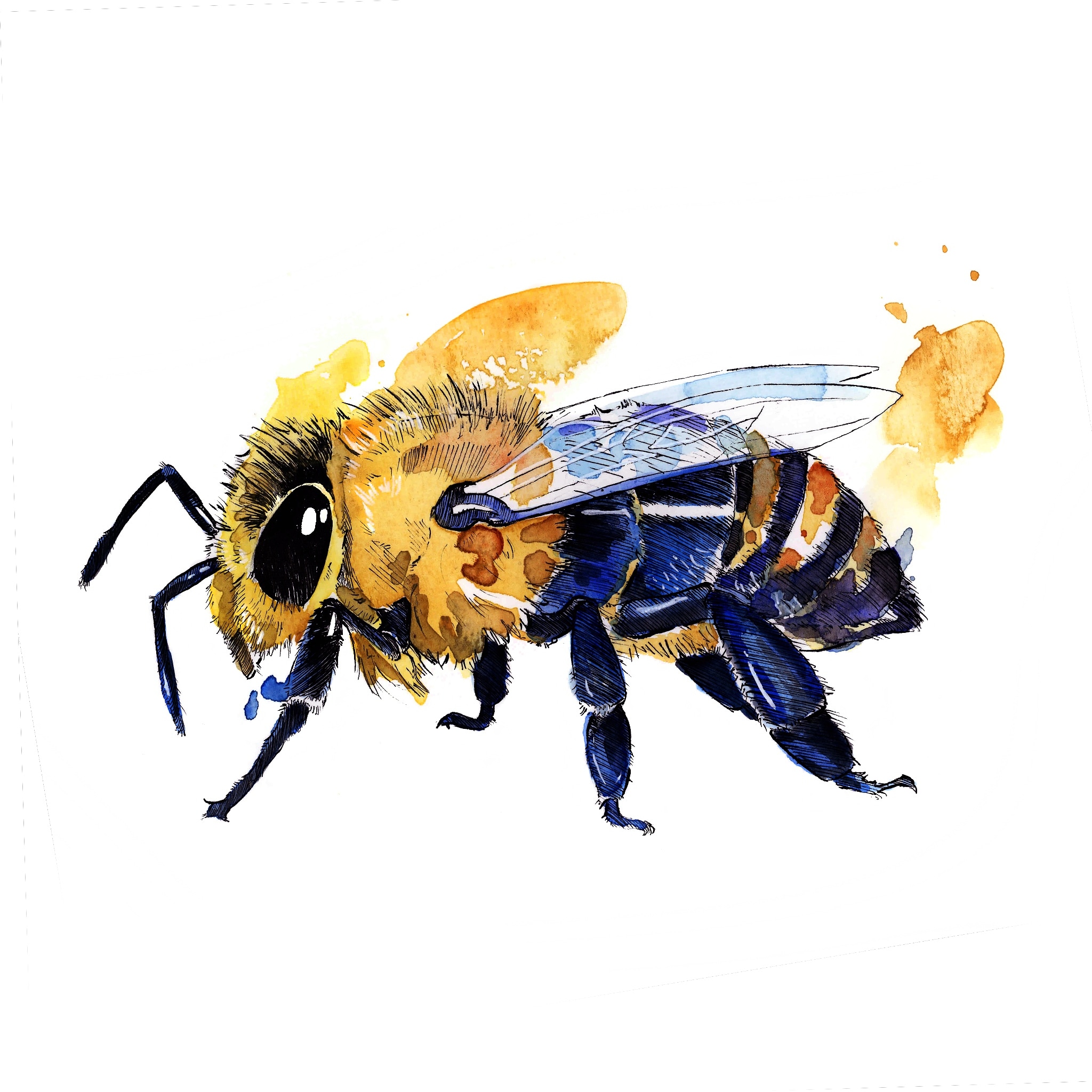 2048x2048 Honey, Watercolor, A4 Art