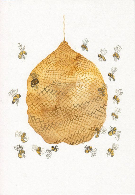 570x821 Honey Bee Hive No. 3