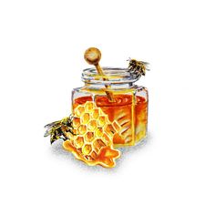236x236 Honey Jar Watercolor Painting 5 X 7 Fine Art Giclee Reproduction