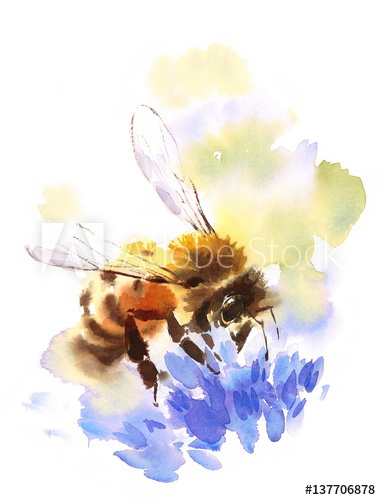381x500 Watercolor Honey Bee On Blue Flower Hand Painted Summer