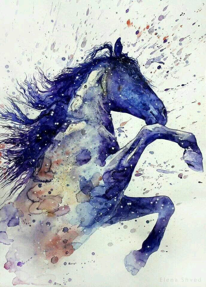 688x960 Watercolour Horse By Elena Shved. Very Beautiful Horse Watercolor