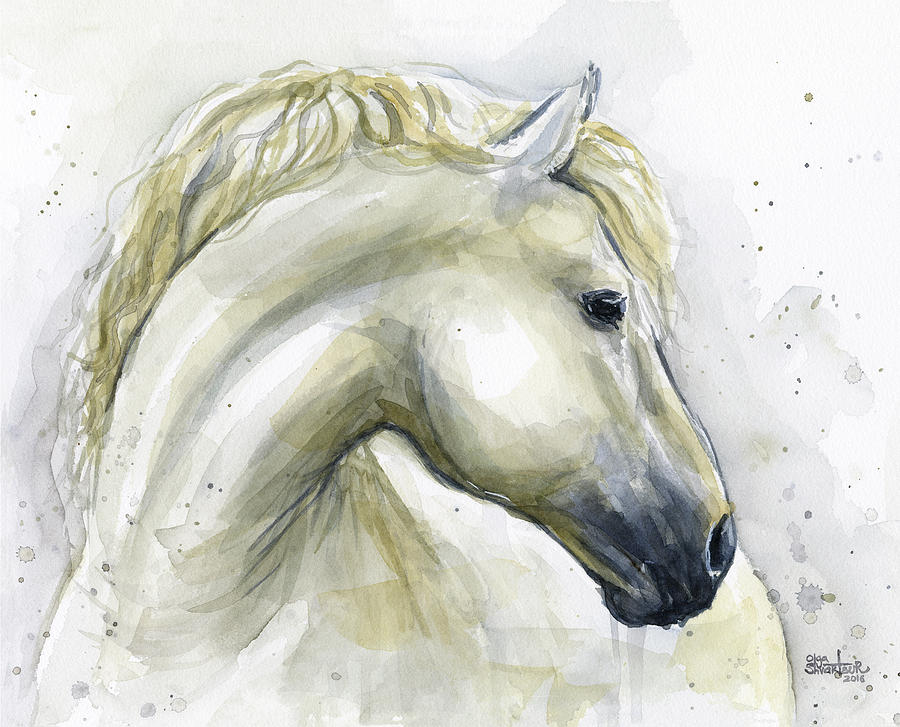 900x727 White Horse Watercolor Painting By Olga Shvartsur