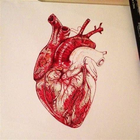 474x474 Human Heart Art Watercolor Google Search The Book