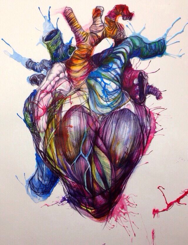 640x834 Human Heart Art Watercolor