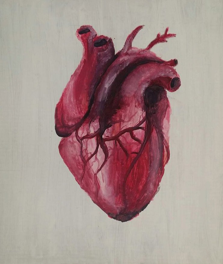742x876 Watercolor Human Heart