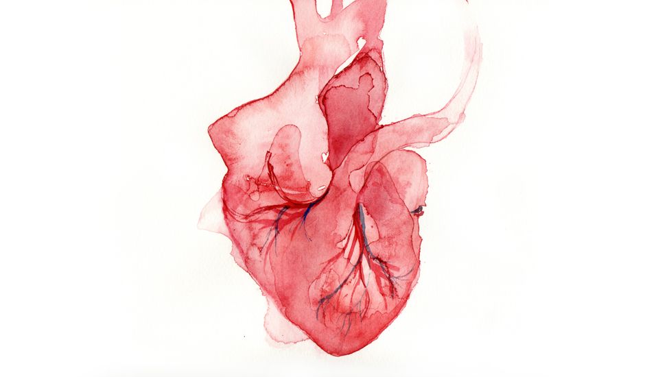 940x550 Squishy, Fleshy, Watercolor, Heart Art Watercolor