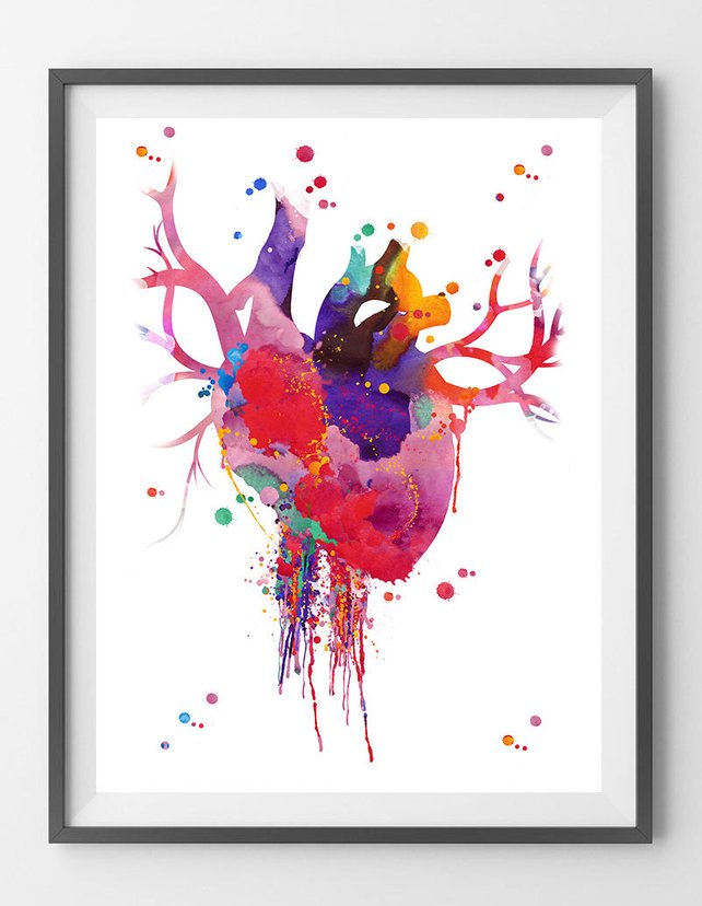 642x828 Heart Anatomy Watercolor Print Abstract Medical Art The Human Etsy