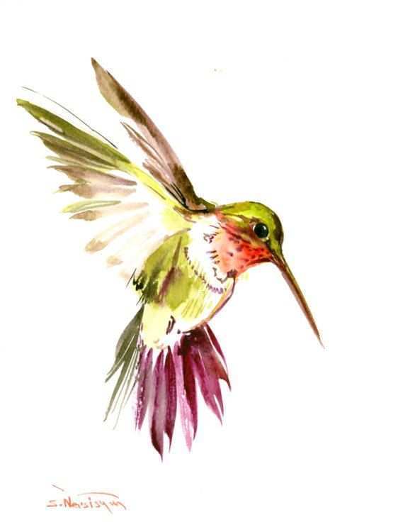 562x750 Hummingbird Painting Elegant Hummingbird Art Original Watercolor