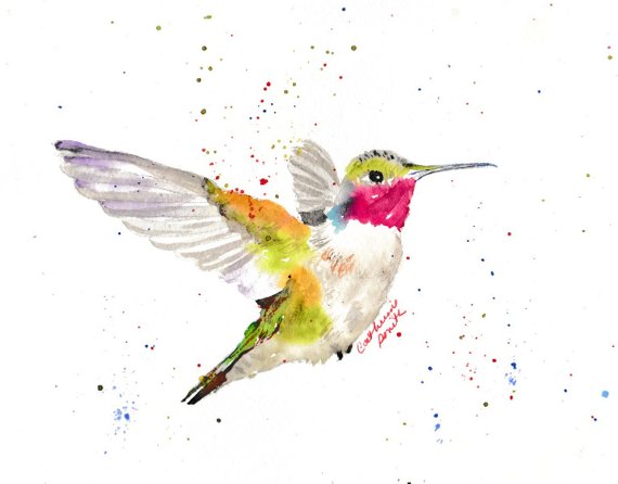 570x446 Hummingbirds Watercolor Birds Watercolor Hummingbird Etsy