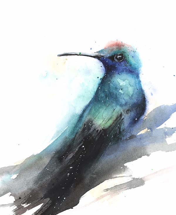 600x733 Blue Chested Sapphire Hummingbird Watercolor Print Watercolor