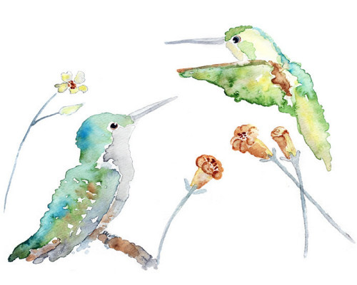 500x400 Colorful Bird Art, Watercolor Hummingbird Art, Humming Bird