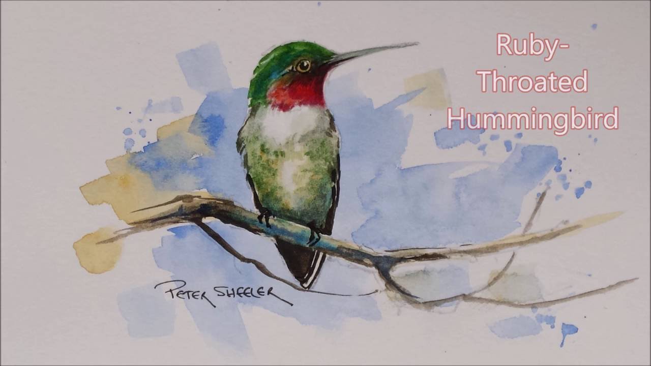1280x720 How To Paint A Ruby Throated Hummingbird In Watercolour. Easy To