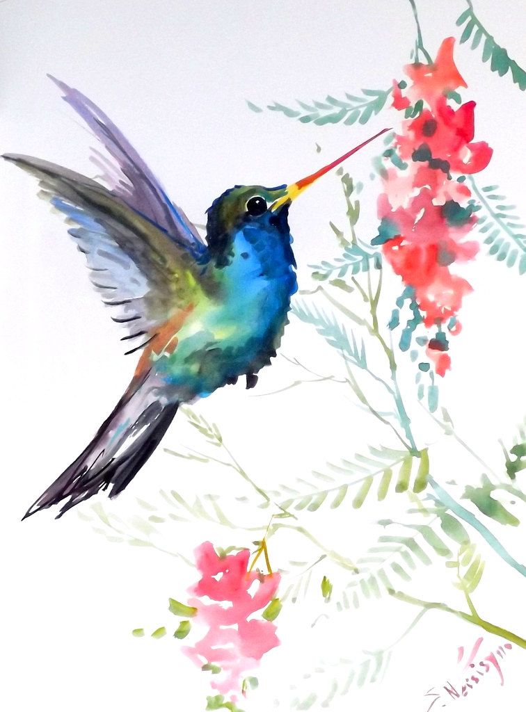 756x1024 Hummingbird, Original Watercolor Painting, 12 X 9 In, Blue Bird