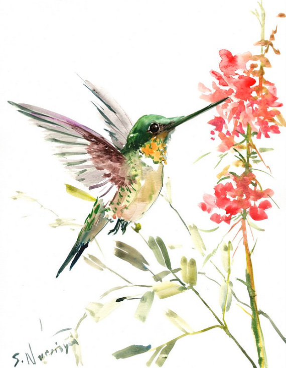 570x733 Hummingbird, Original Watercolor Painting, 14 X 11 In, Flying