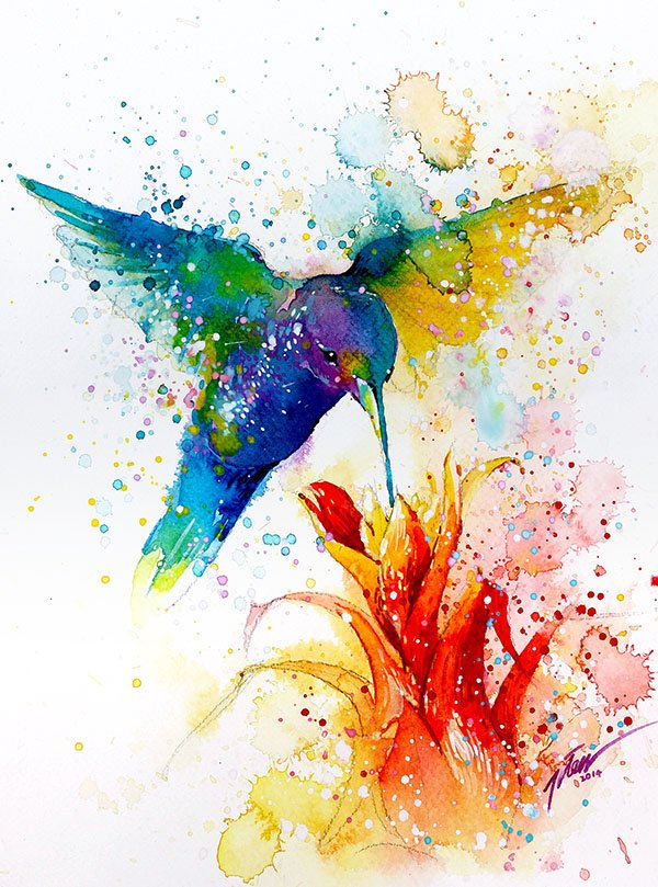 600x809 Hummingbird