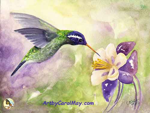 500x377 Hummingbird Paintings Art Carol May