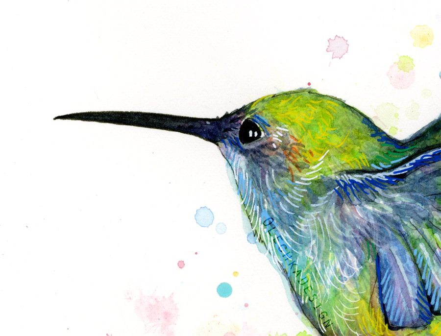 900x686 Hummingbird Watercolor Olechka Design