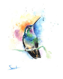 241x300 Hummingbird Watercolor Painting
