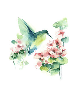 270x300 Hummingbird Watercolor Paintings Fine Art America