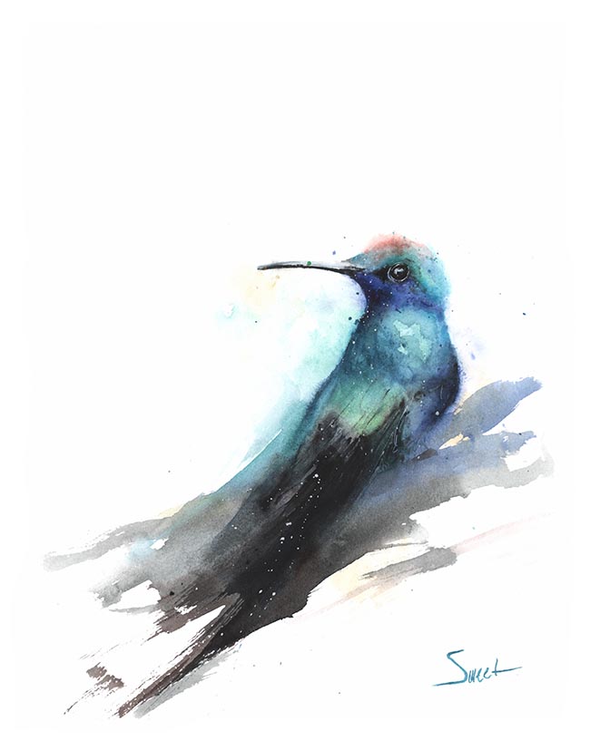 650x827 Blue Chested Sapphire Hummingbird Original Watercolor Watercolor