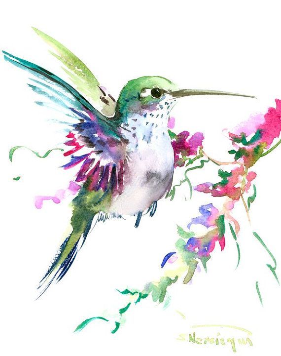 570x721 Hummingbird Art Original Watercolor Painting 8 X By Originalonly