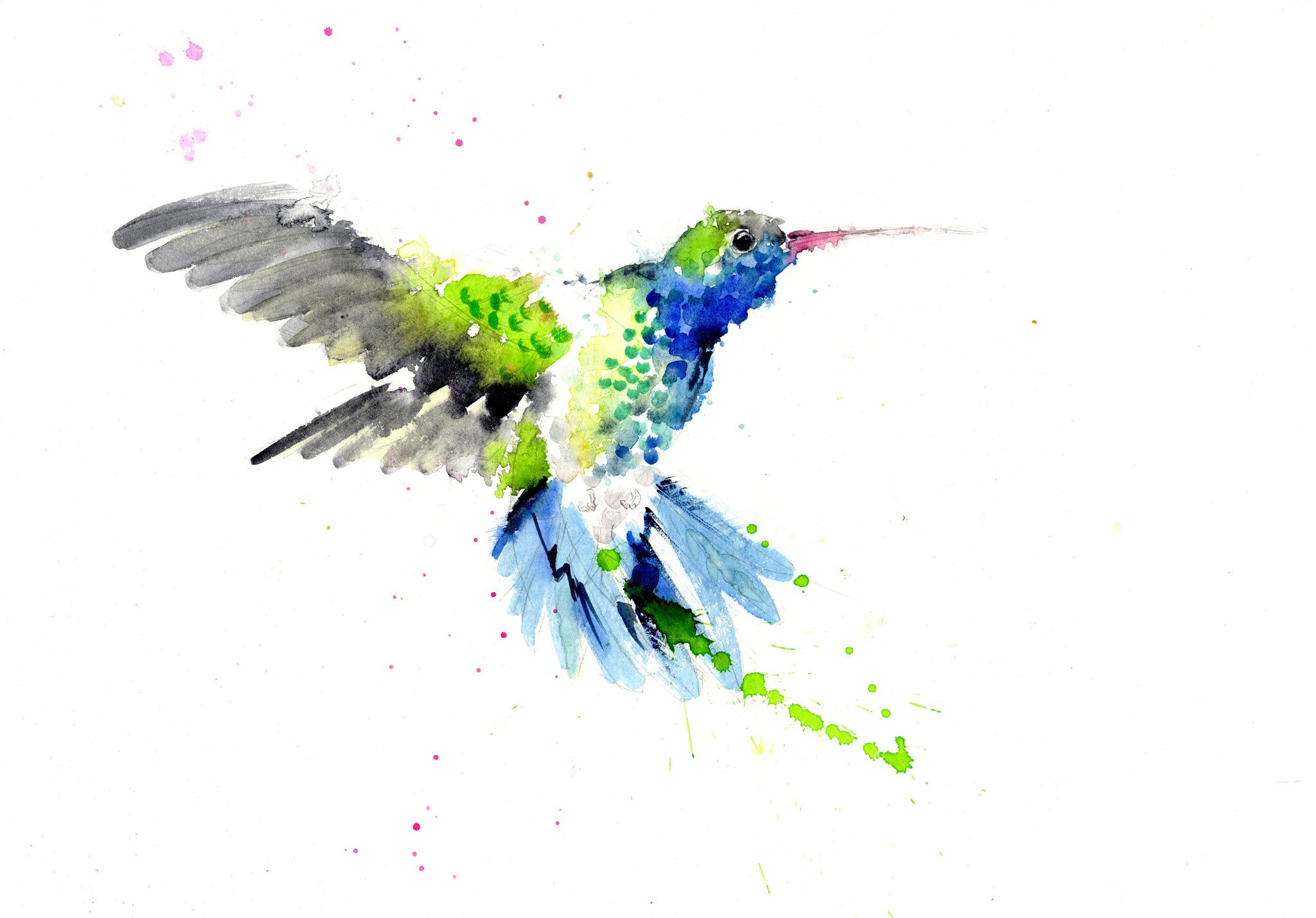 2048x1428 Jen Buckley Art Signed Print Of My Original Hummingbird Watercolour