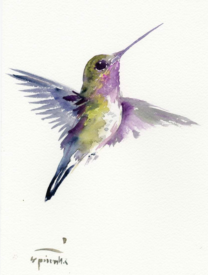 835x1100 Watercolor Paintings Of Hummingbirds Watercolor Paintings Of