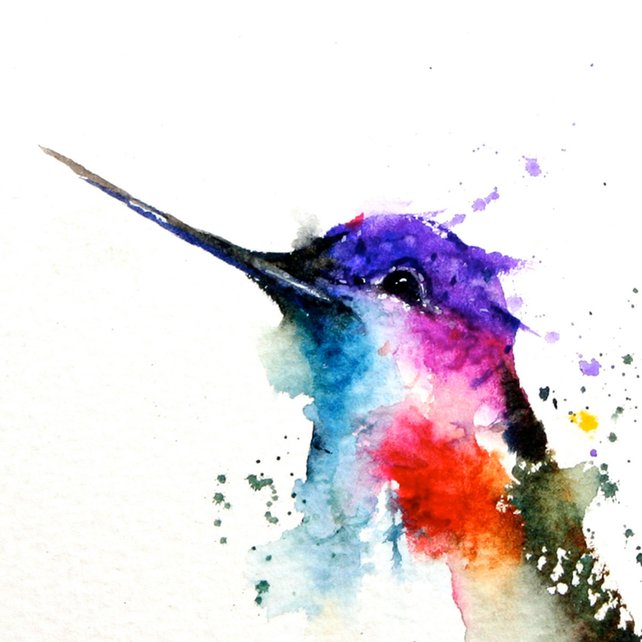 642x642 Hummingbird Watercolor Art Print Hummingbird Painting By Dean Etsy