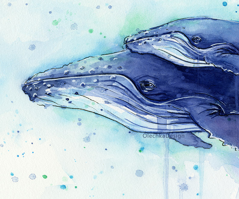 792x659 Humpback Whale Mom And Baby Watercolor Painting Olechka Design