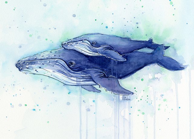 642x458 Humpback Whale Mom And Baby Watercolor Print Whale Art Whale Etsy