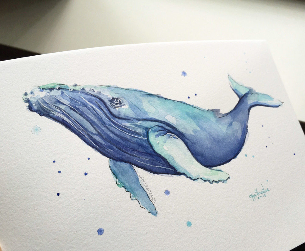 1000x821 Humpback Whale Watercolor Olechka Design