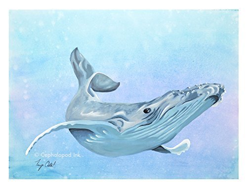 500x385 Humpback Whale Art Print From Watercolor Painting