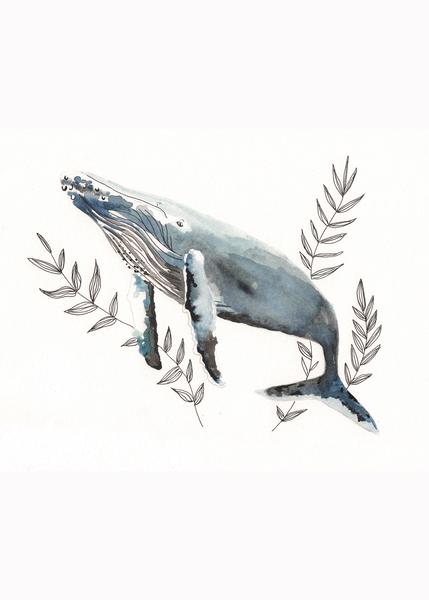 429x600 Humpback Whale Watercolor Print Sammie Clark Art