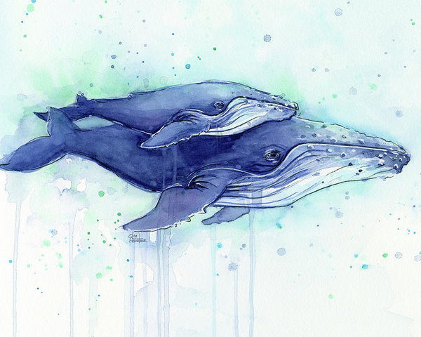 600x480 Humpback Whales Mom And Baby Watercolor Painting