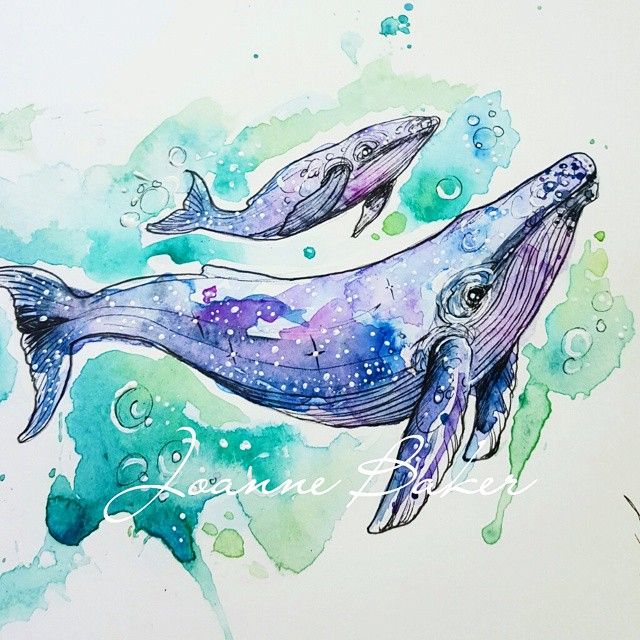 640x640 Humpback Whales For Isabelle By Joanne Baker Art Stuff