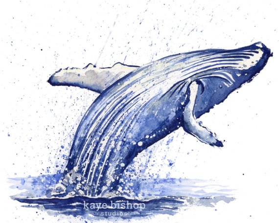 570x456 Original Whale Watercolor Painting Wall Art Humpback Whale Etsy