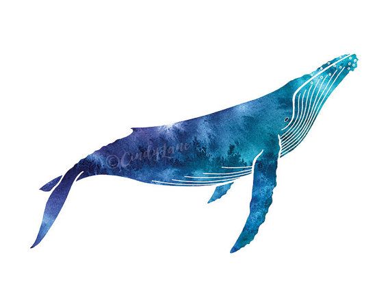 570x448 Watercolor Humpback Whale Print, Whale Art, Whale Watercolor