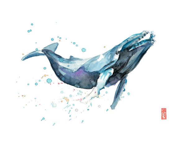 570x456 Drawn Whale Painted