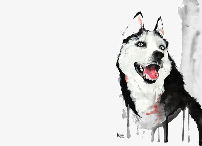 650x471 Hand Painted Husky, Dog, Watercolor, Minimalism Png Image And