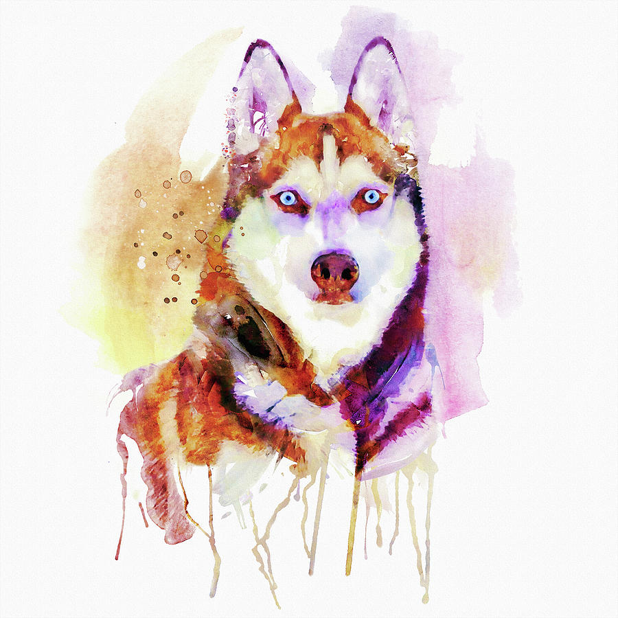 900x900 Husky Dog Watercolor Portrait Painting By Marian Voicu