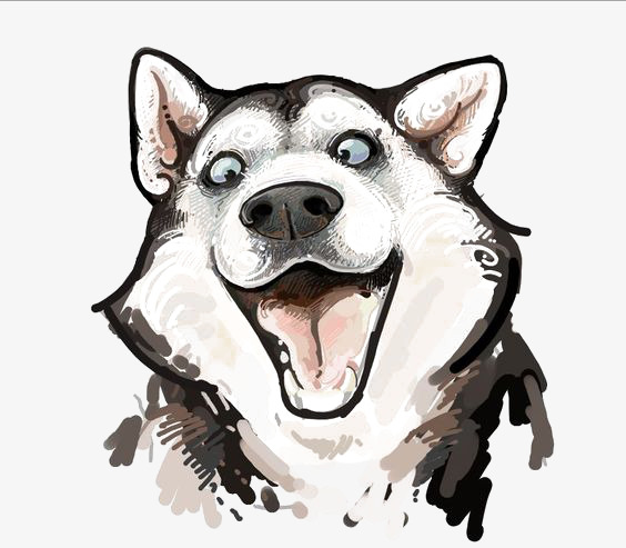 564x493 Husky Watercolor, Watercolor Clipart, Husky Illustration, Animal