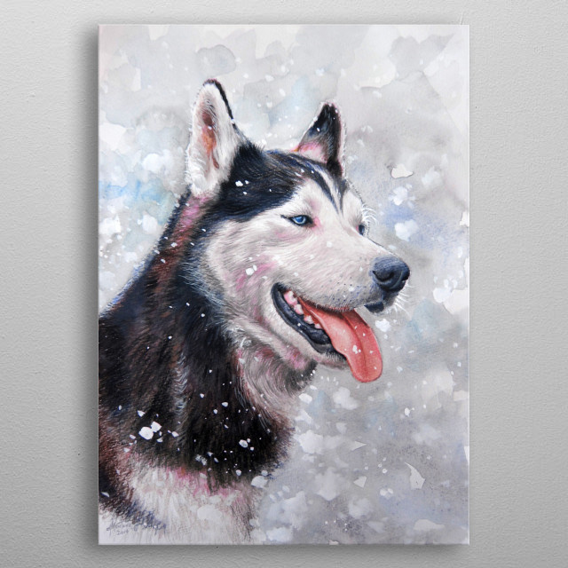 640x640 Husky Watercolor Pencil And... By Dado Montano Metal Posters