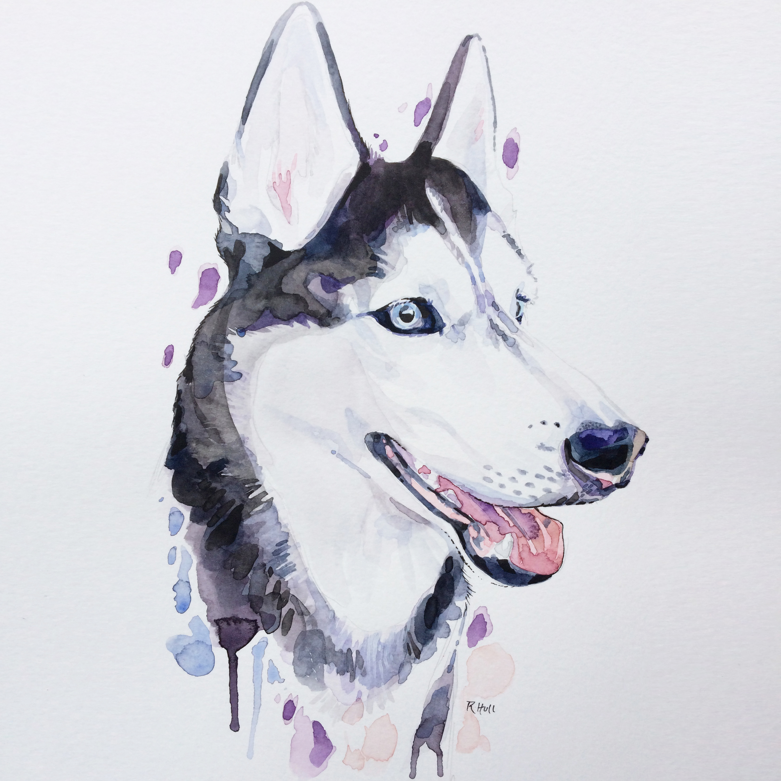 2952x2952 Siberian Husky, Watercolour, 12 X 9in