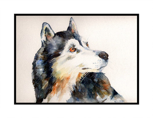 498x384 Siberian Husky Watercolor Note Cards