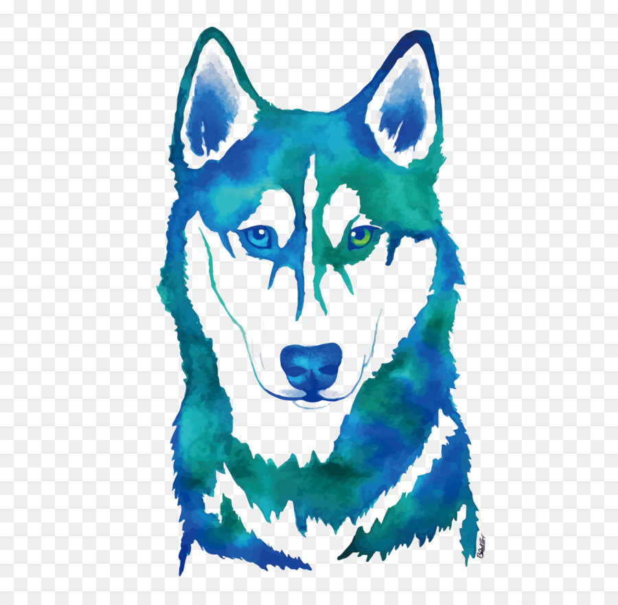 900x880 Siberian Husky Watercolor Painting Canidae