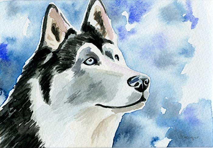 700x486 Siberian Husky Watercolor Painting Size 5 X 7 Handmade